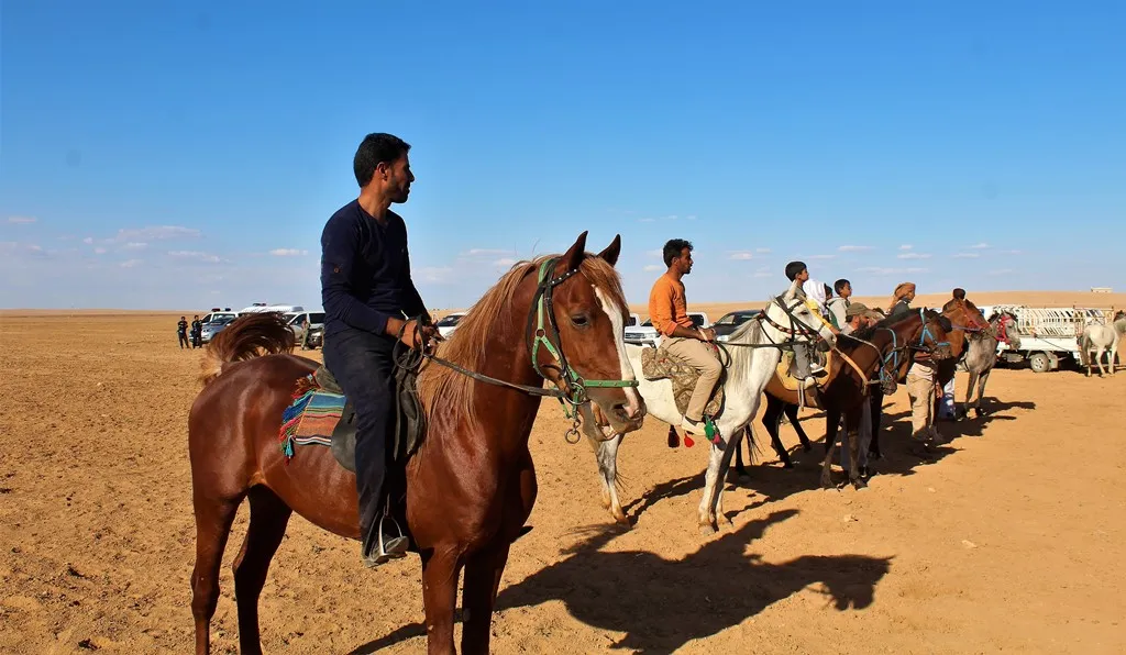 Yekem pêşbirka  Hespên Esîl li Tebqayê hate lidarxistin