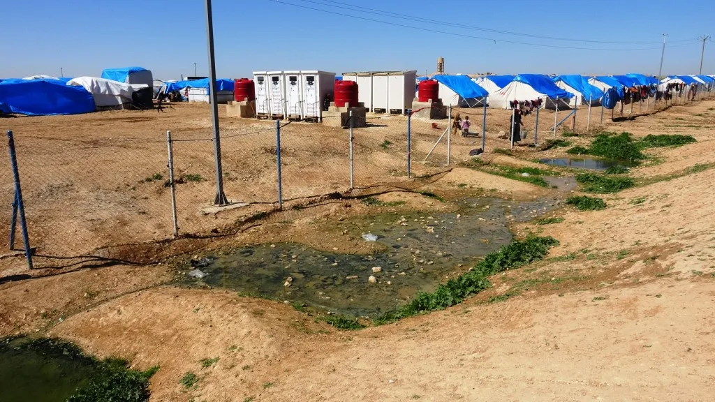 Nexweşiya laşmaniya li kampa Eyn Îsa belav dibe