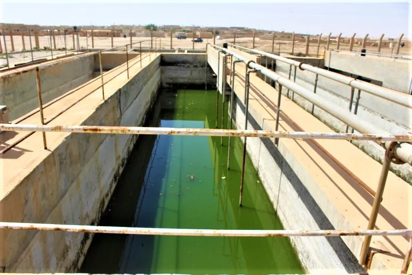 Şaredariya El-Mensûra rê li pêşiya nexweşiyan digire