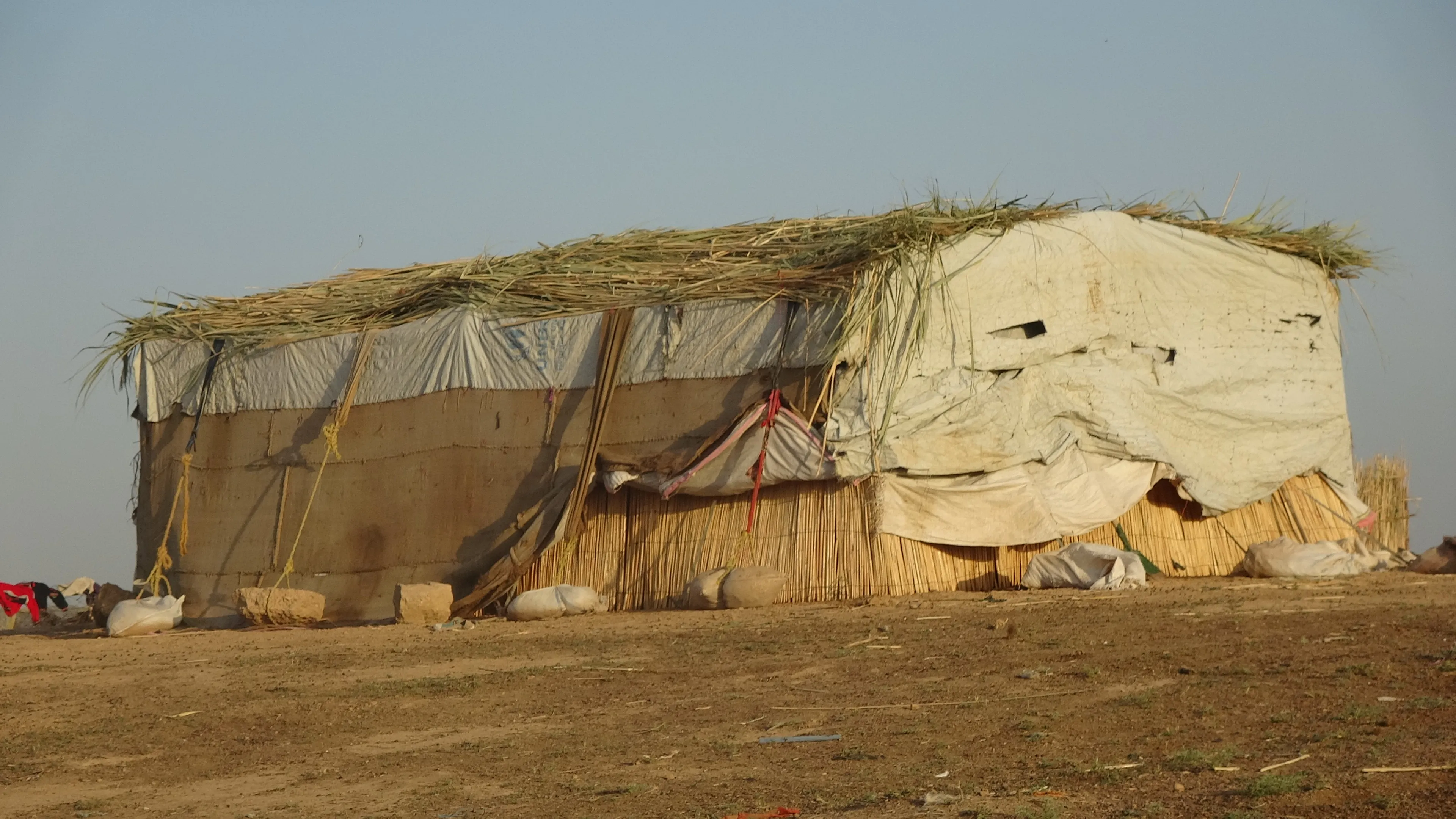 Aloziya Sûriyeyê pîşeyeke windayî vegerand