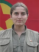 Nasnameya 5 şehîdên HPG'ê hate eşkerekirin