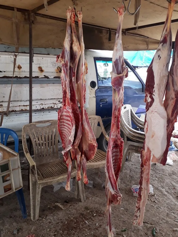 Li bajaroka El-Mensûra madeyên dembuhirî hatin destserkirin