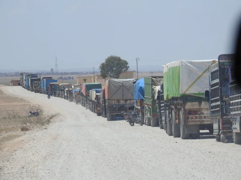 Embarên Girê Spî pêşwaziya hilberîna genim dikin