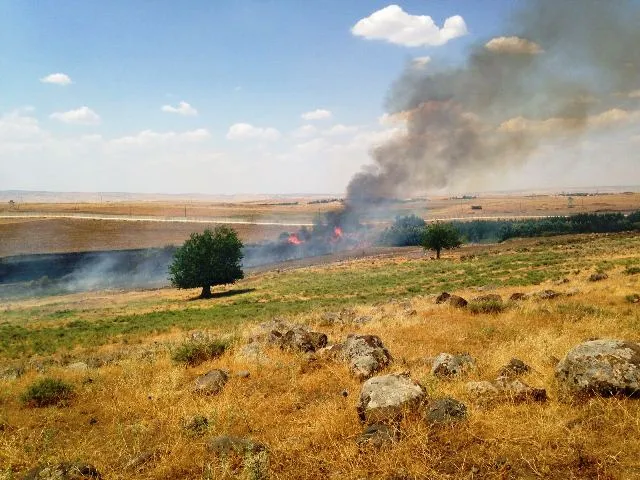 Artêşa dagirker zeviyên genim ên welatiyên Tirbespiyê şewitandin