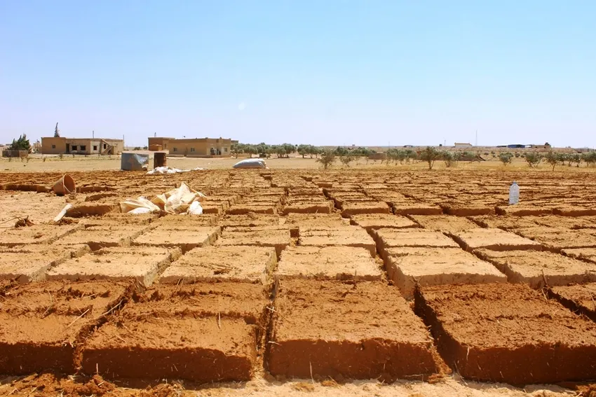 Şêniyên Tebqayê xaniyan bi kelpîçan lê dikin