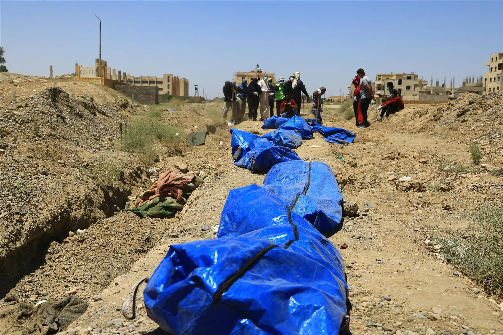 Li Reqayê gorên komî