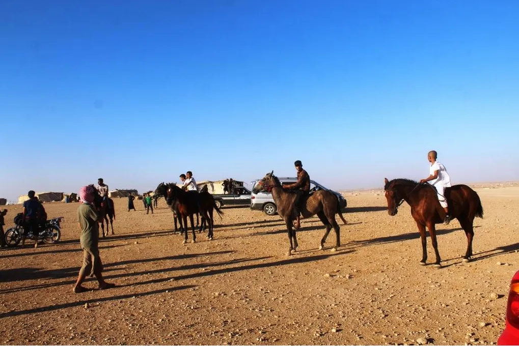 Pêşbirka hespên erebî dest pê kir 