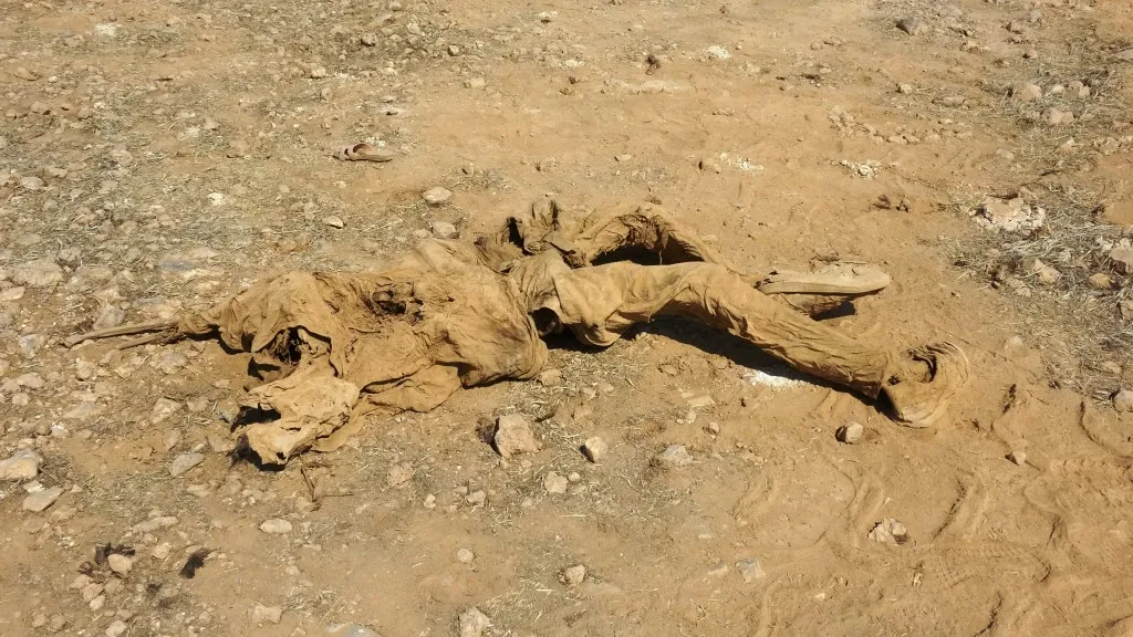 Li Girê Spî 4 gorên komî hatin dîtin