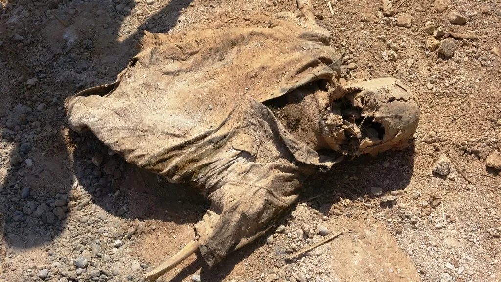 Li Girê Spî 4 gorên komî hatin dîtin