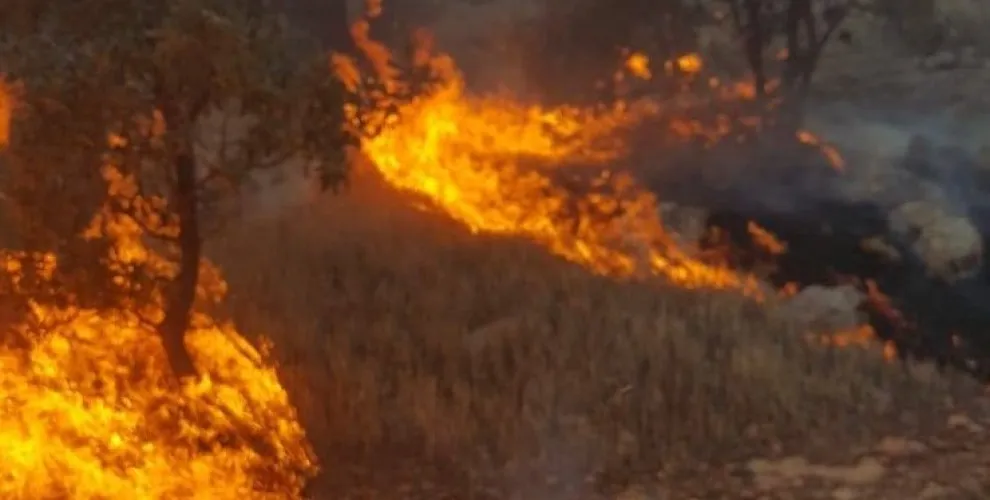 Şewata li Omeryanê berfirehtir dibe