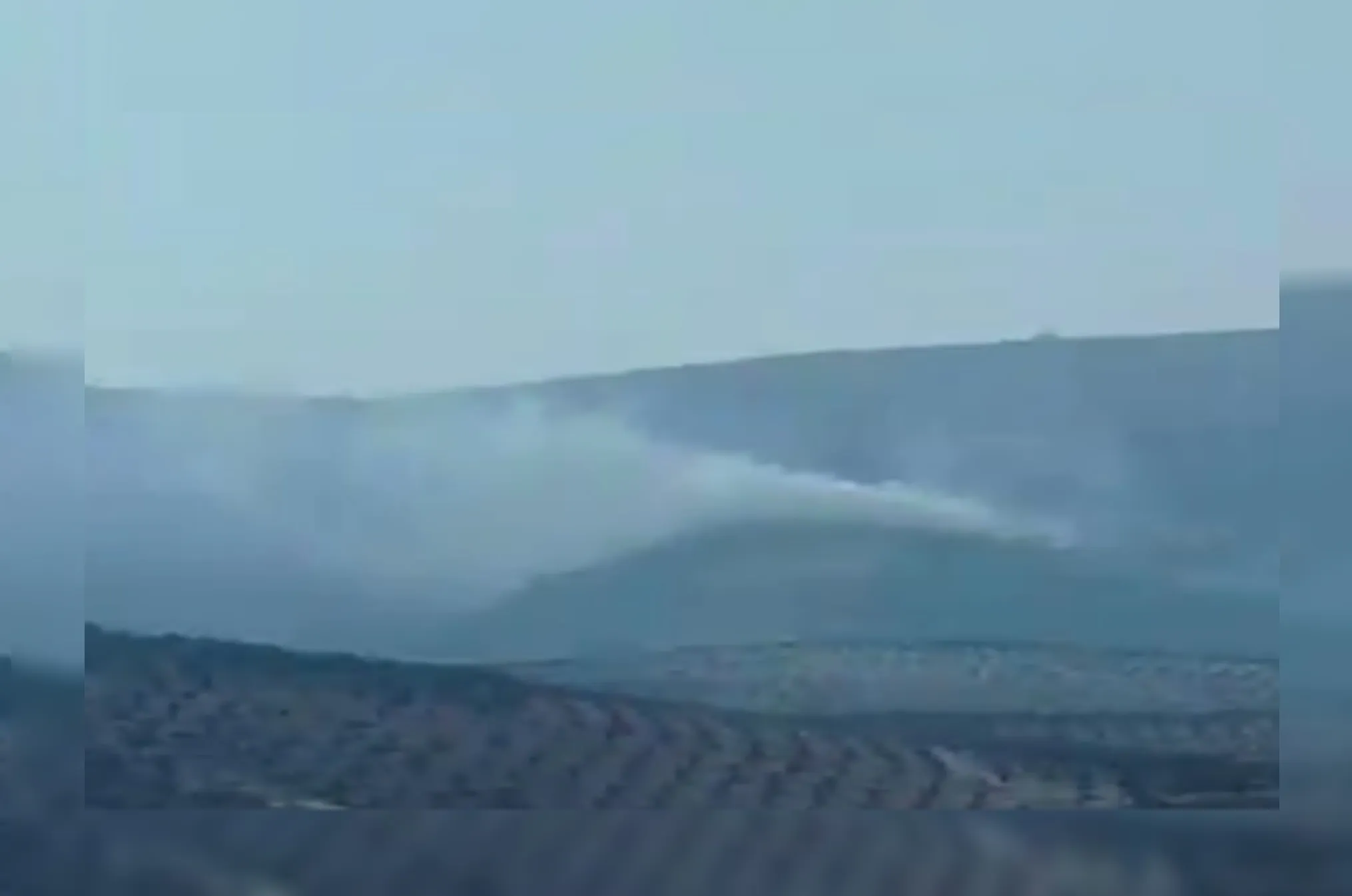 Hêzên dagirker li Efrînê darên zeytûnan dişewitînin