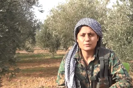 Avesta.. şoreşgera pêşeng û keça axa zeytûnan