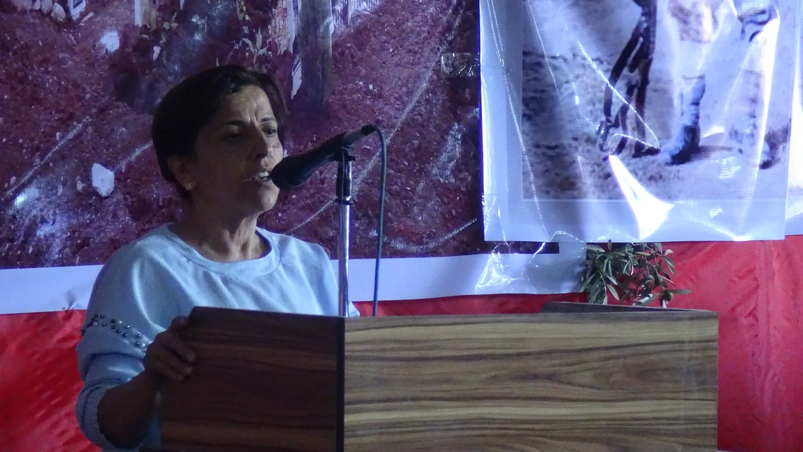 6’emîn Konferansa Meclisa Malbatên Şehîdan a Efrînê bi biryaran bi dawî bû