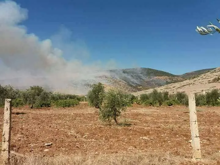 Binpêkirinên dagirkera Tirk li Efrînê didomin