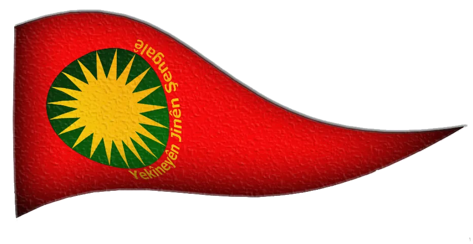 YJŞ: Jina rêxistinkirî bersiva herî bi wate ya li hemberî fermanan e