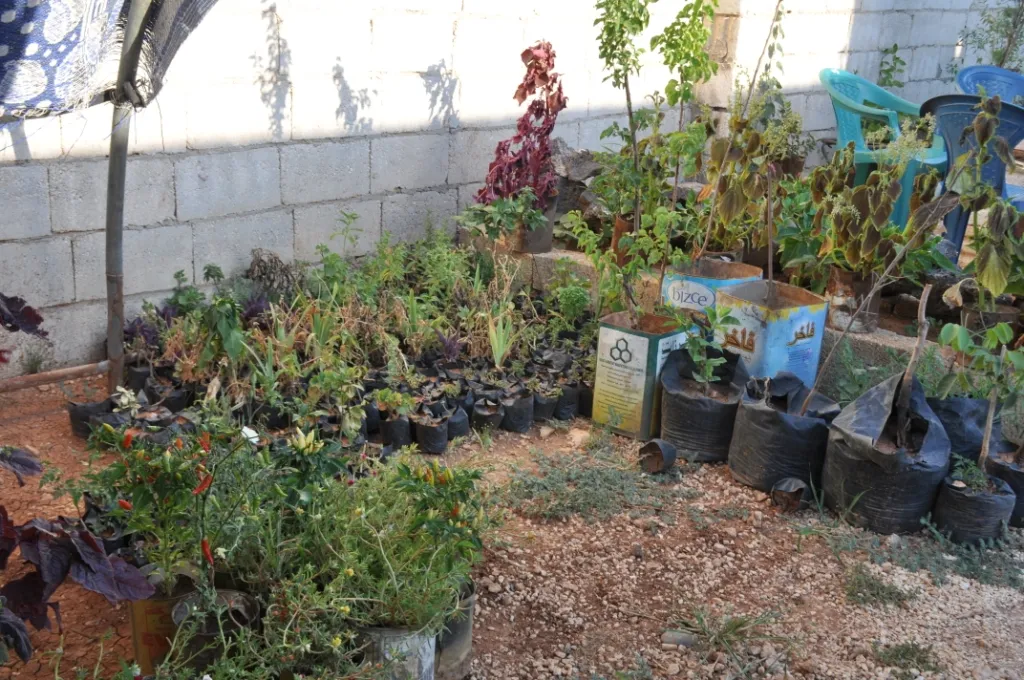 Hevalbendê ekolojî, dar û kulîlikan diçîne
