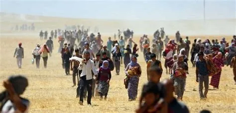 NY'yê dest bi lêkolîna qirkiriya DAIŞ'ê ya li Şengalê kir