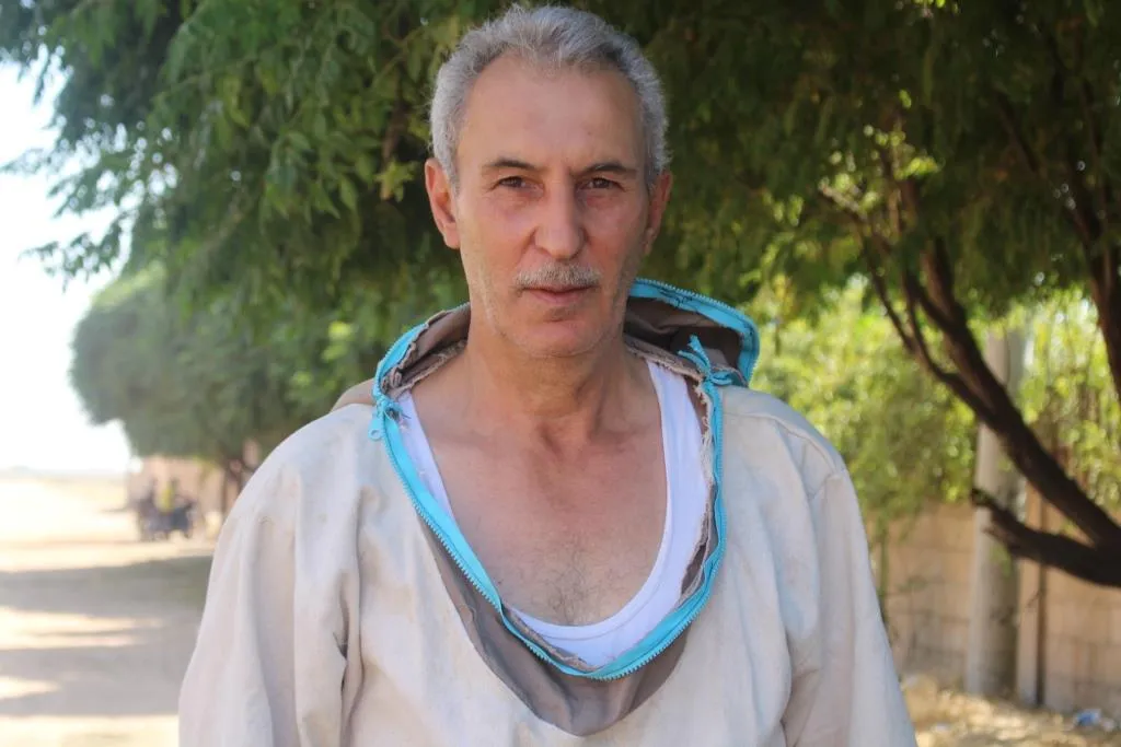 Pêvedana mêşan dikin derman