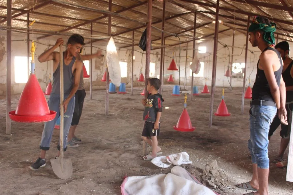 Xwediyên çewlikên mirîşkan pêwîstiya bajarokê Ceza peyda kir