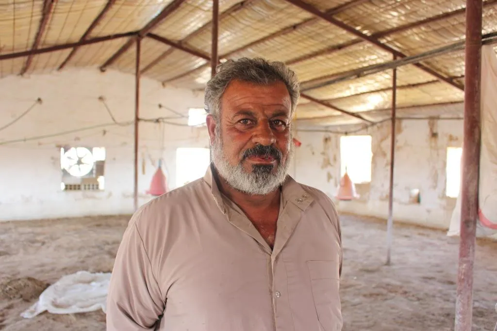 Xwediyên çewlikên mirîşkan pêwîstiya bajarokê Ceza peyda kir