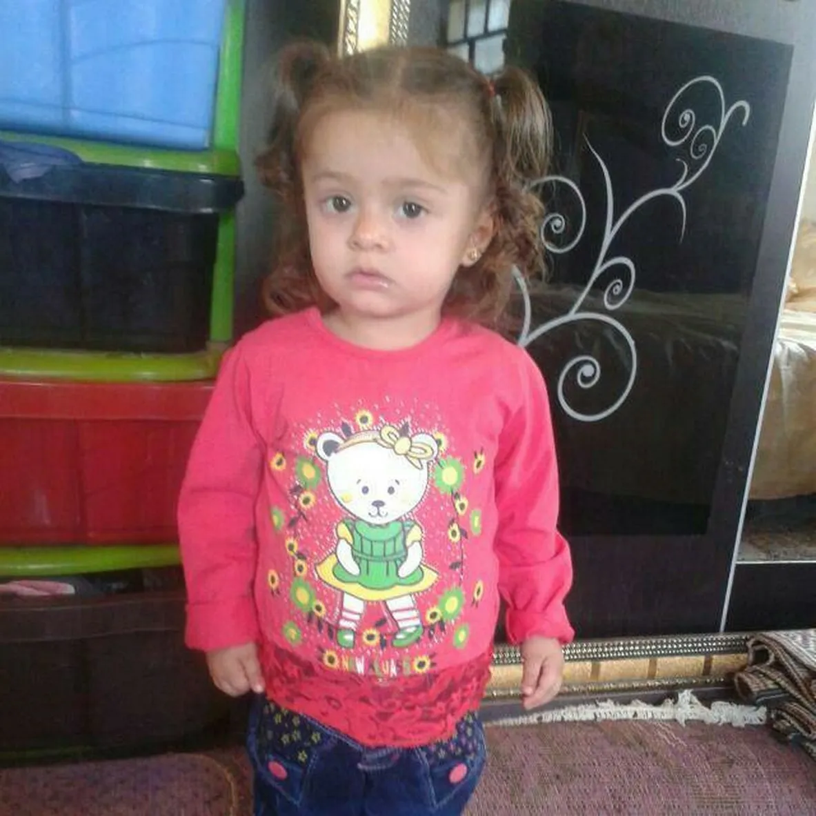 Li Helebê bûyereke bi êş, 14 sivîlên Efrînê jiyana xwe ji dest dan