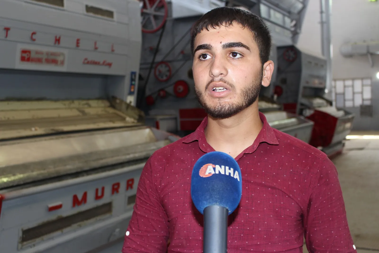Mehleca pembo ya Hesekê dê ji nû ve pembo hilde