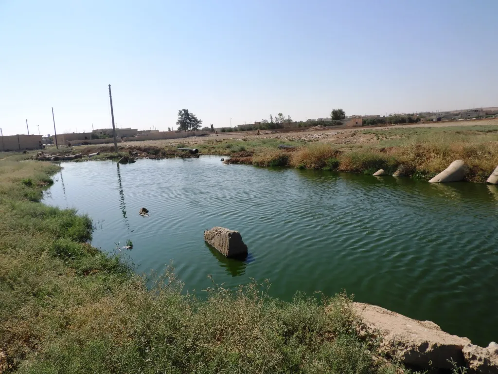 Şêniyên navçeya Eyn Îsa bi gazin in