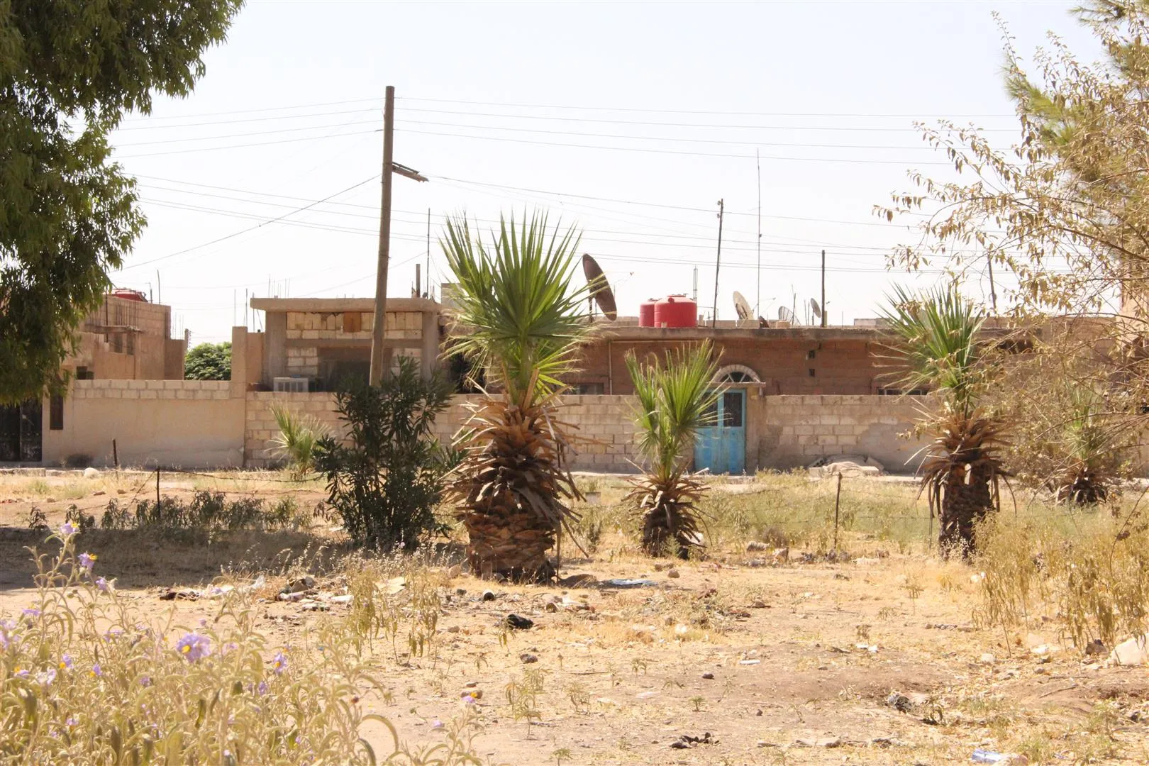 Piştî daxwaza şêniyan şaredariyê soza çareseriyê da