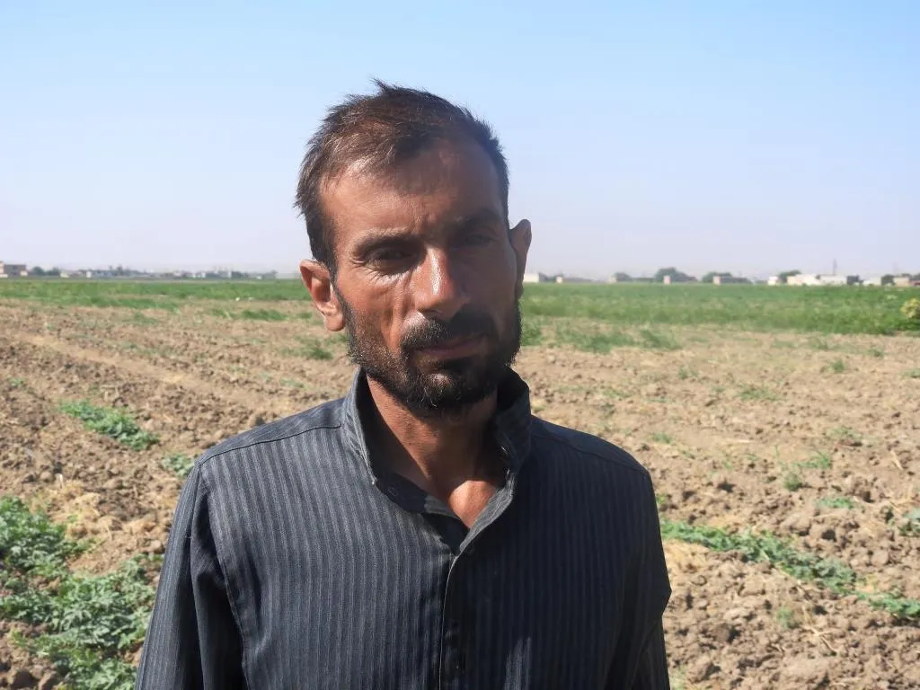 Cotkarên Reqayê xisarên xwe qerebû kirin