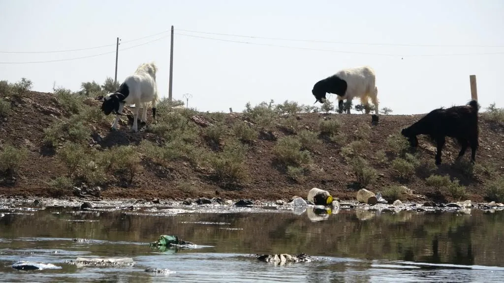 Çemê El-Ihêmer ji çavkaniyên herî qirêjkirina avî li Herêma Cizîrê ye