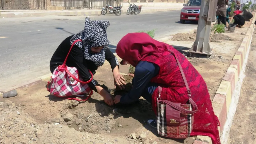 Li Reqayê di nava bajêr de 300 dar hatin çandin