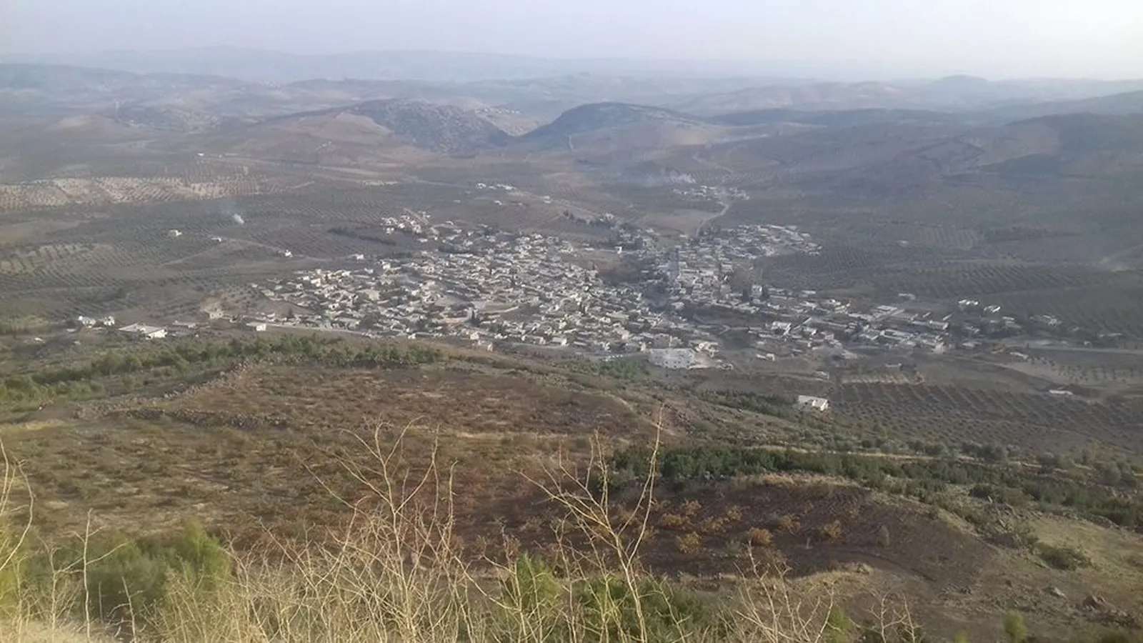 Ji ber topbarana artêşa Tirk gelek darên Efrînê şewitîn