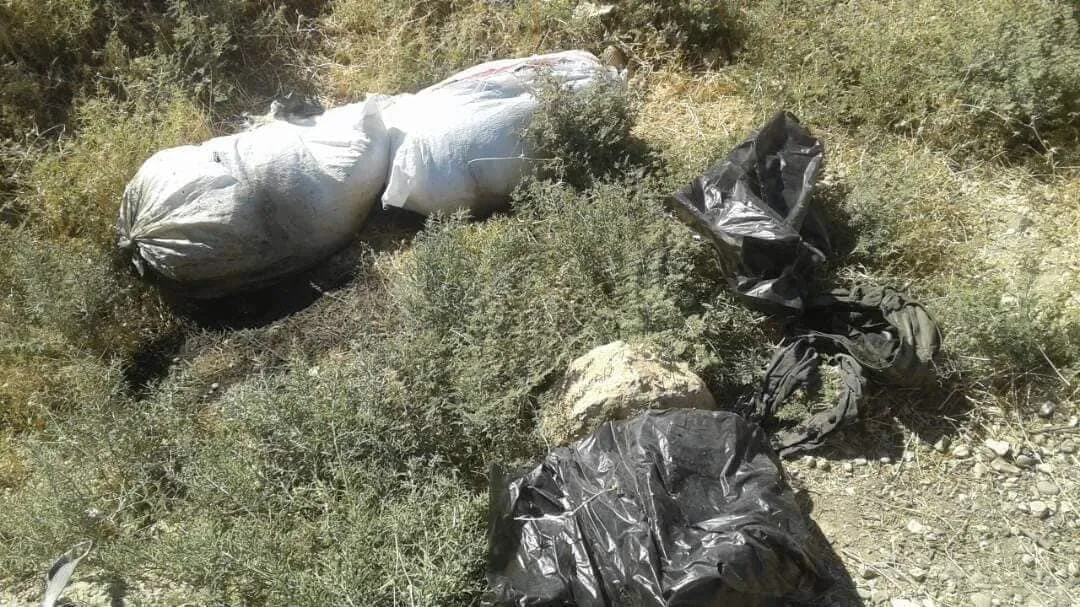 Ji ber ku nedikarîn fidiyeyê bidin ew kuştin
