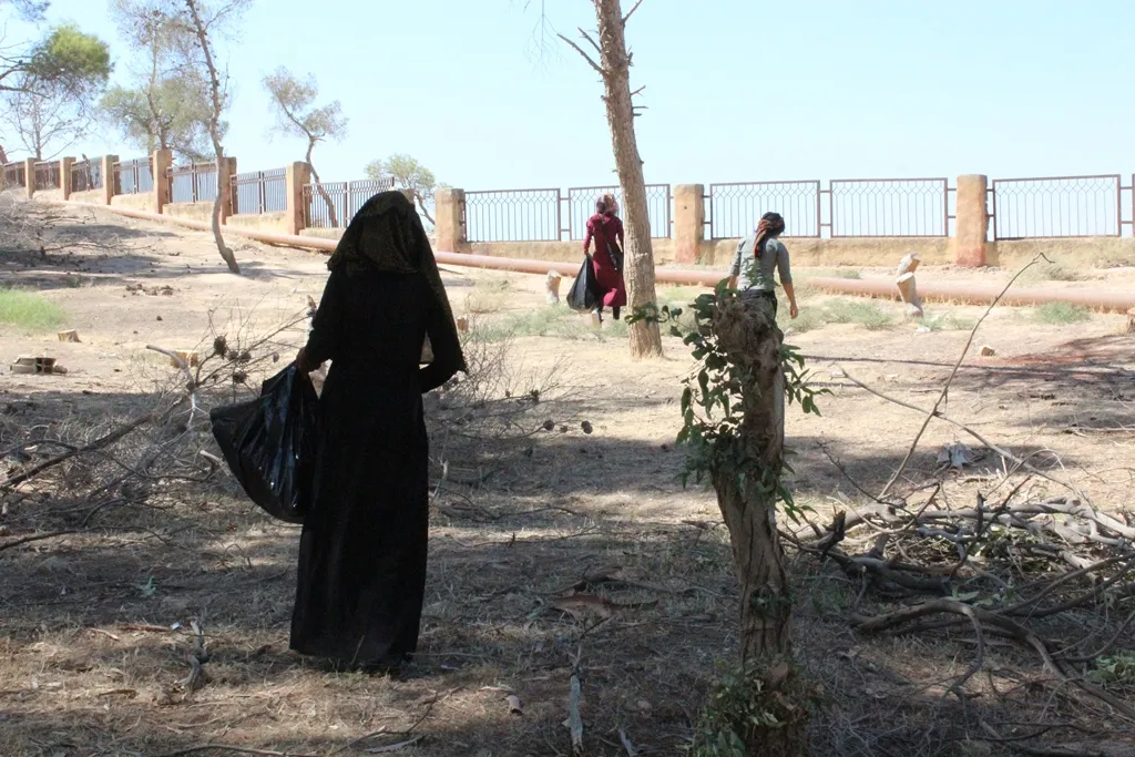 Ciwanên Tebqayê pêngava paqijkirinê dane destpêkirin