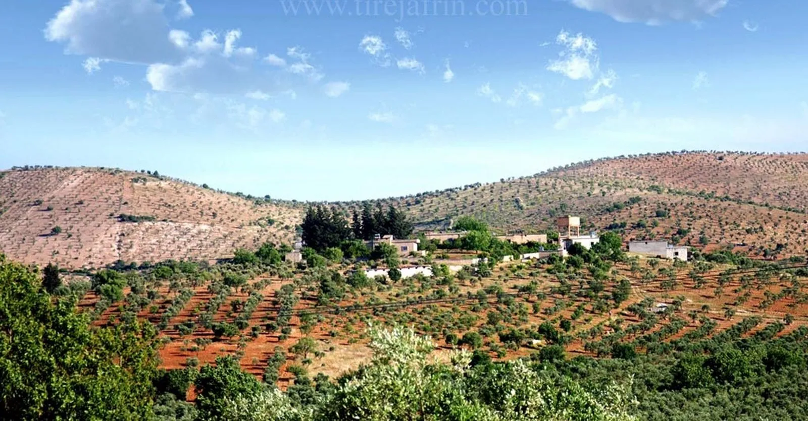 Guhertina demografiya Efrînê didome, malbatên Idlibê têne bi cihkirin