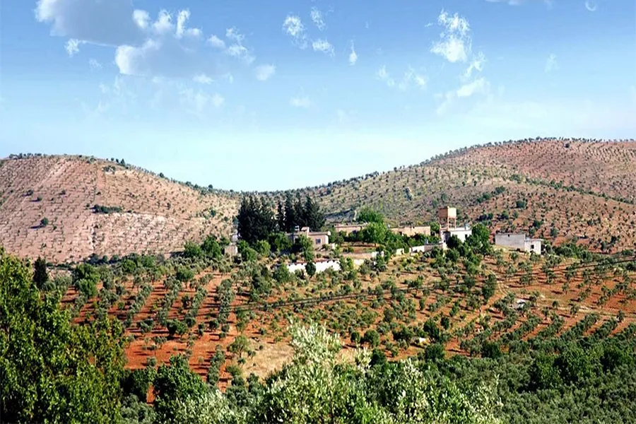 Guhertina demografiya Efrînê didome, malbatên Idlibê têne bi cihkirin