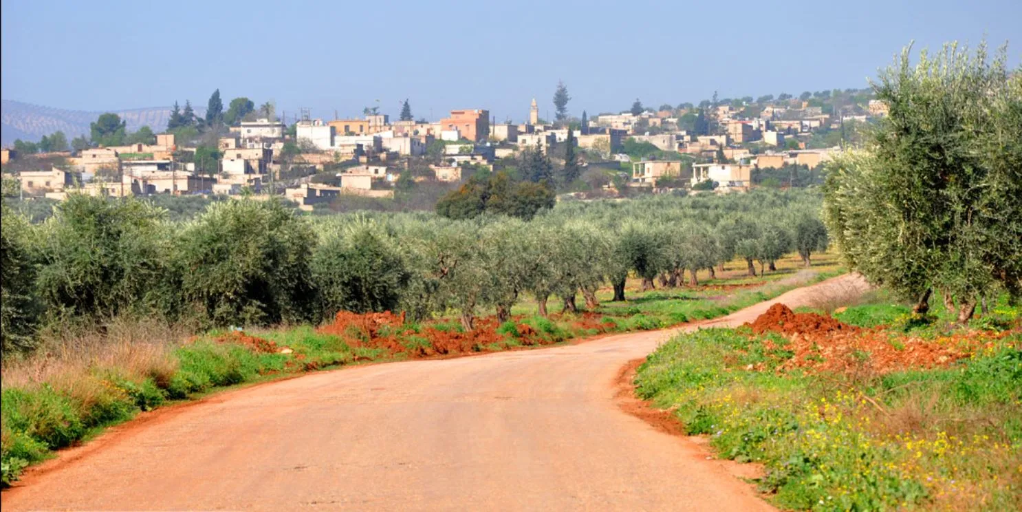 Hêzên dagiker li Efrînê bi dehan kes revandin û li jinan dan