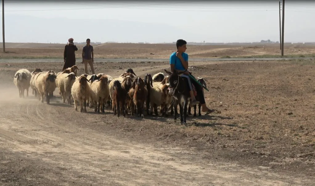 Çareseriyên rêgirtina li pêşiya beyarbûna Cizîrê