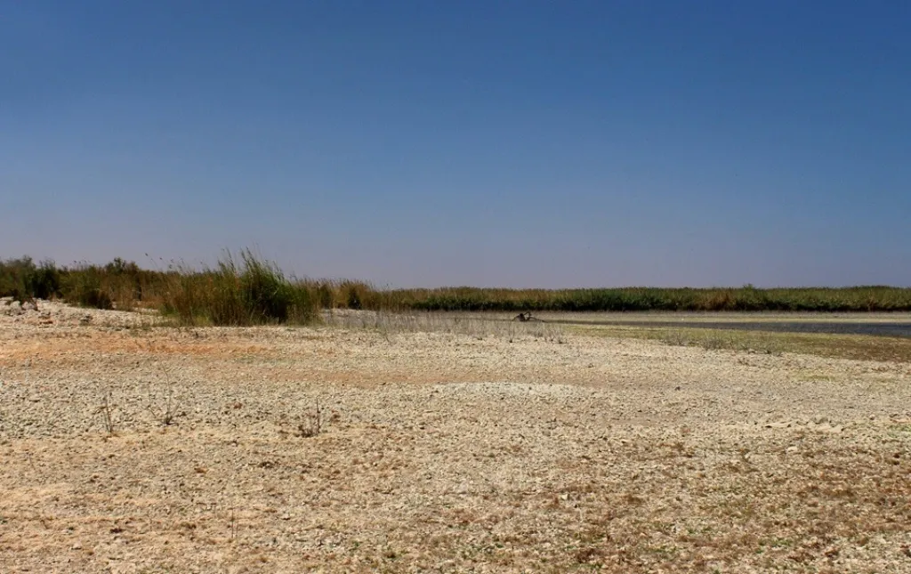 Qutkirina ava çemê Firatê ji aliyê Tirkiyeyê ve, herêm li ber kerastekî mezin rû bi rû dihêle