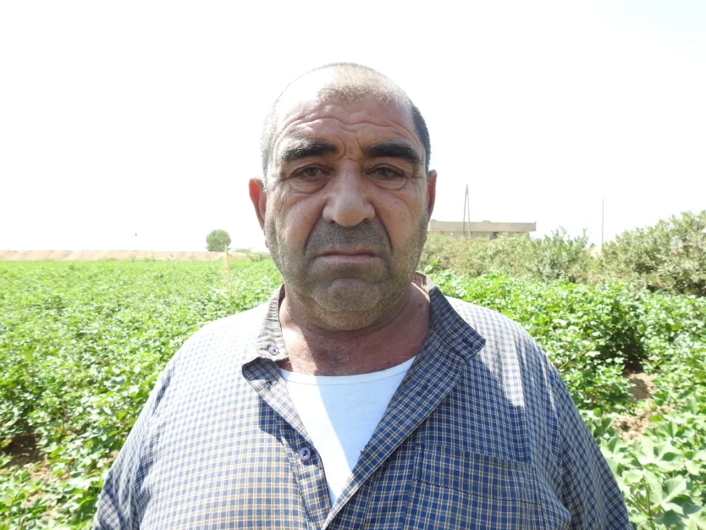 Hilberîna pembo ya îsal kêm e