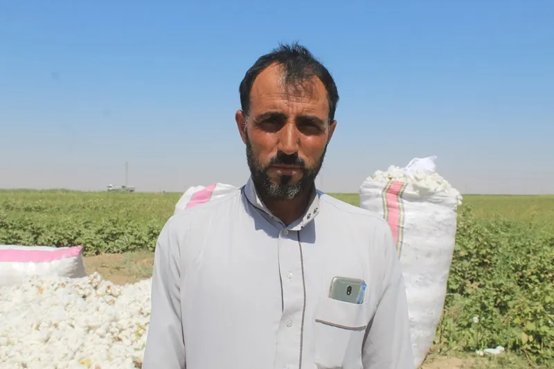 Îsal pembo cotkar bê hêvî kirin