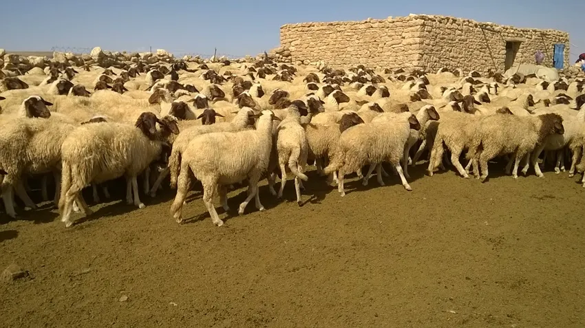 Hewldanên Karîgeriya Çandiniyê ji bo pêşxistina herêmê