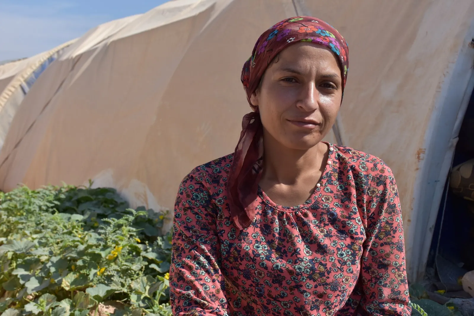 Jinên Efrînê bi îradeya xwe jiyanê li kampan geş dikin