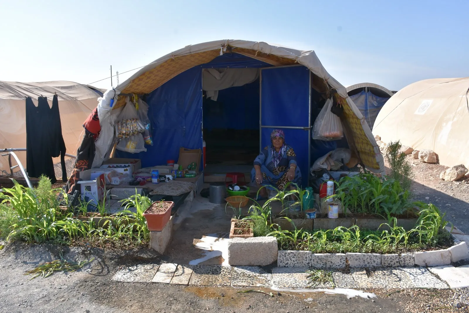 Jinên Efrînê bi îradeya xwe jiyanê li kampan geş dikin