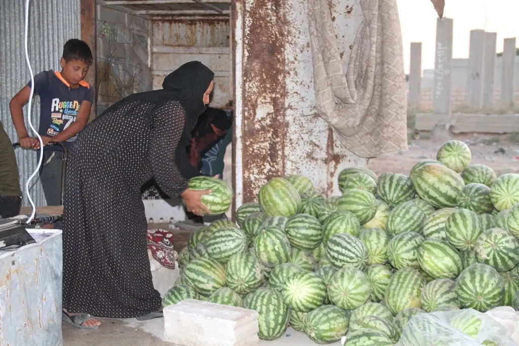 Li ser rêya Hesekê jinek zebze firoş: Fatma
