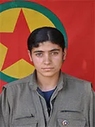 Gerîlayan li Bakur û Başûrê Kurdistanê derbeyên giran li artêşa dagirker xist