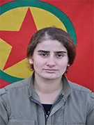 HPG`ê nasnameyên şehîdên Şirnexê aşkere kir