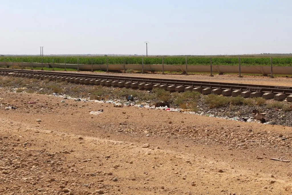 Zêdebûna niştecîbûnan û paşguhkirina xwepaqijiyê nexweşiyan zêde dike