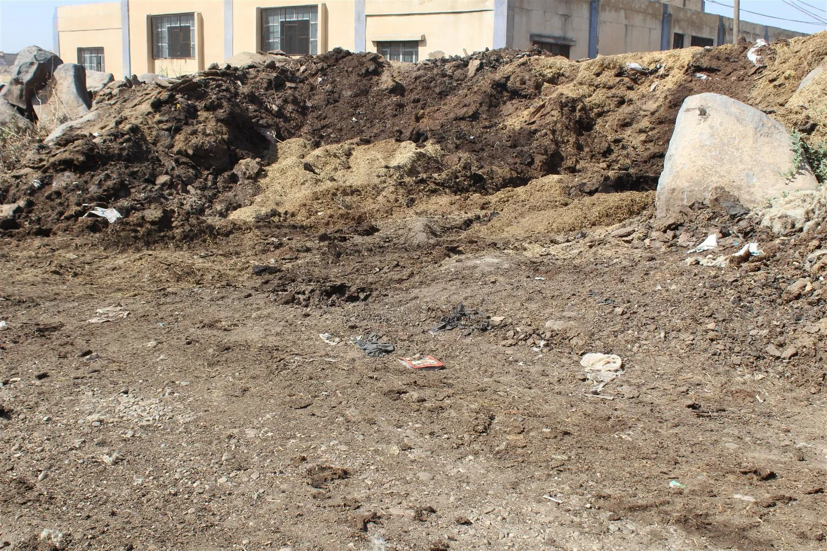 Şaredariyê pirsgirêka herî mezin a li taxa Cûdî çareser dike