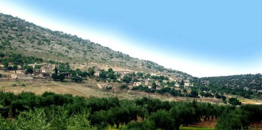 Hêzên dagirker bace li xwediyên darên zeytûnan ferz dikin